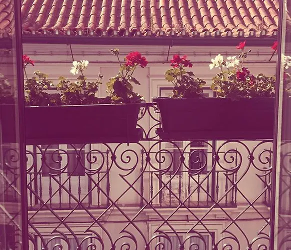 Casa Dos Patios Ii Holiday home Aveiro